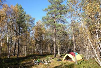 post-6714-0-80446000-1401034810_thumb.jp