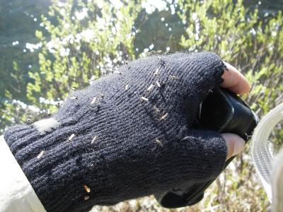 post-8462-0-28182400-1399984053_thumb.jp