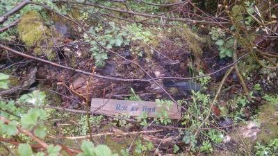 post-8488-0-39247800-1399374535_thumb.jp