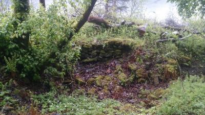 post-8488-0-46069300-1399374557_thumb.jp