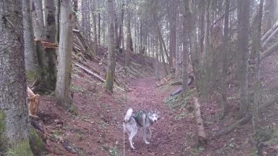 post-8488-0-78455200-1399374613_thumb.jp