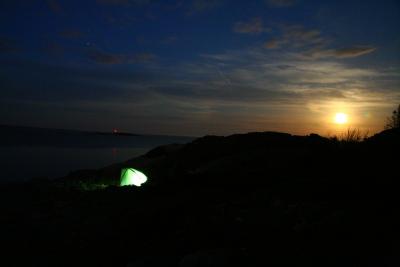 post-8771-0-14019900-1400477151_thumb.jp