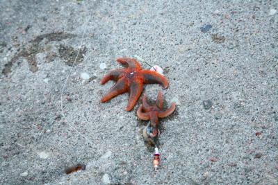 post-8771-0-64138800-1400738011_thumb.jp