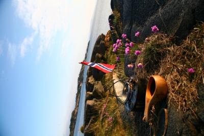 post-8771-0-91396900-1400477244_thumb.jp