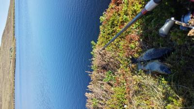 post-8967-0-76758300-1401395189_thumb.jp