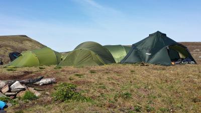 post-8967-0-96346800-1401394828_thumb.jp