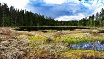 post-10088-0-19300400-1432630575_thumb.j