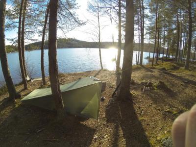 post-11941-0-61408800-1430762869_thumb.j