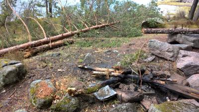 post-11941-0-95306400-1431279351_thumb.j