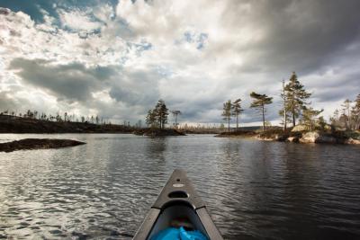 post-12278-0-30160500-1430690369_thumb.j