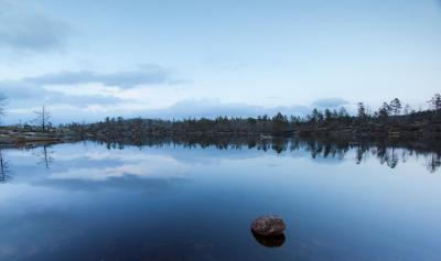 post-12278-0-35057800-1430686419_thumb.j