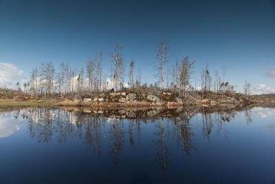 post-12278-0-71469000-1430694434_thumb.j