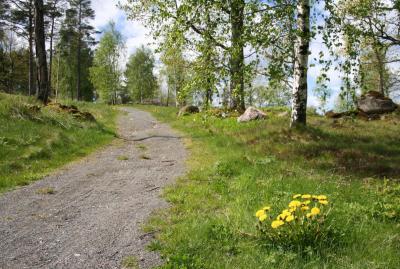 post-12600-0-17073000-1431877282_thumb.j