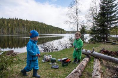 post-1265-0-13642000-1433010644_thumb.jp