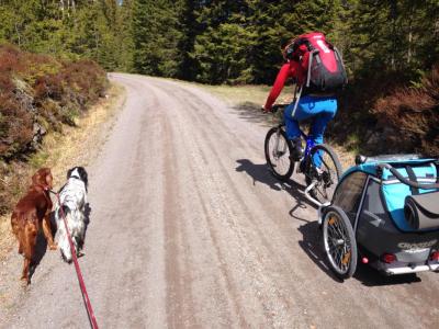 post-1265-0-27432600-1433009976_thumb.jp