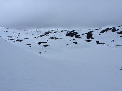 post-13206-0-48425600-1432111776_thumb.j