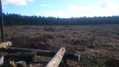 post-14173-0-42996500-1430770055_thumb.j