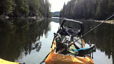 post-14387-0-68365200-1431186993_thumb.j