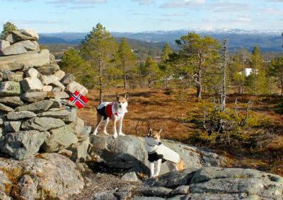 post-14482-0-85881400-1431802833_thumb.j