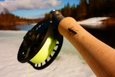 post-14504-0-58237300-1431116832_thumb.j