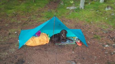 post-14793-0-34214000-1432402506_thumb.j