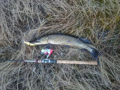 post-14911-0-02997400-1430602300_thumb.j