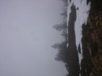 post-14911-0-42918100-1431802636_thumb.j