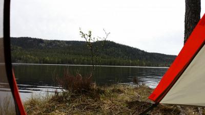 post-15265-0-03953700-1432802994_thumb.j