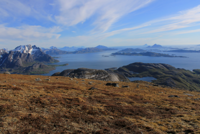 post-1580-0-96612100-1433106306_thumb.pn