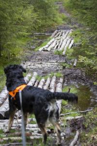 post-15860-0-33916500-1432563216_thumb.j