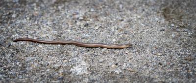 post-15860-0-97516400-1432563067_thumb.j