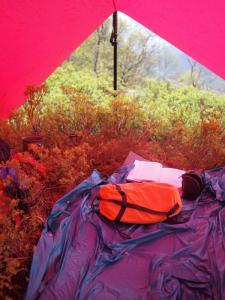 post-16230-0-03469500-1432461512_thumb.j