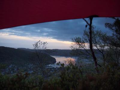 post-16230-0-47286700-1432461160_thumb.j