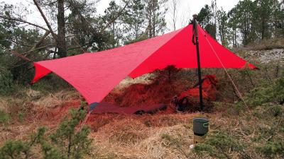 post-16230-0-49946700-1431263175_thumb.j