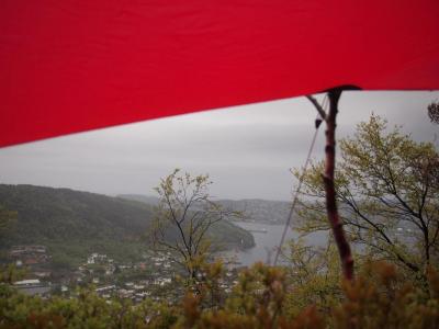 post-16230-0-78791500-1432461337_thumb.j