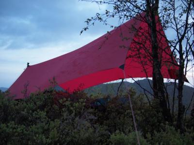 post-16230-0-81061200-1432461059_thumb.j