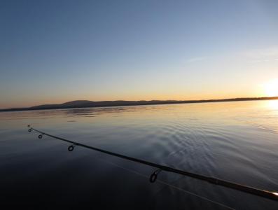 post-16334-0-11195200-1430556440_thumb.j