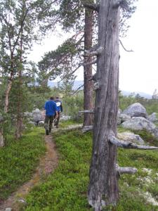 post-16334-0-17859000-1430553491_thumb.j