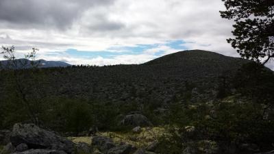 post-16334-0-17936200-1430552148_thumb.j