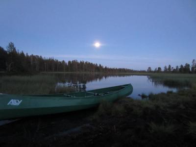 post-16334-0-18910000-1430552638_thumb.j