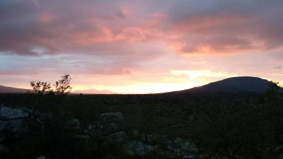 post-16334-0-54485900-1430551961_thumb.j