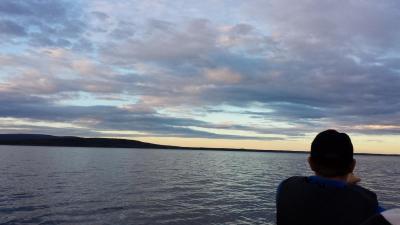 post-16334-0-76200100-1430552209_thumb.j