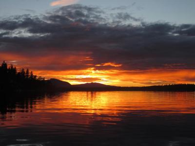 post-16334-0-89821000-1430553630_thumb.j