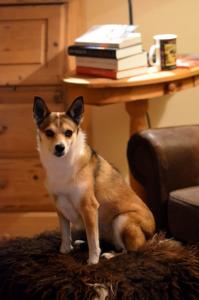 post-16474-0-92608800-1431552629_thumb.j