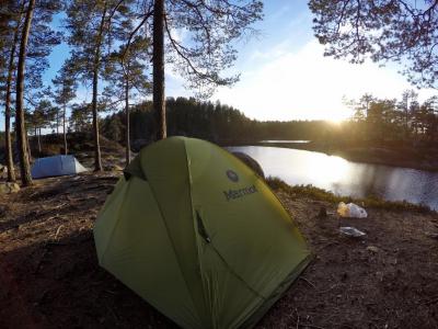 post-16523-0-12699600-1431791333_thumb.j