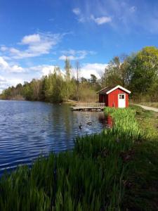 post-4444-0-56347900-1430639423_thumb.jp