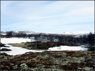 post-4444-0-83895300-1432484863_thumb.jp