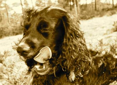 post-6117-0-56282900-1431581855_thumb.jp