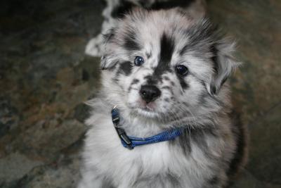 post-6117-0-91998300-1431581804_thumb.jp