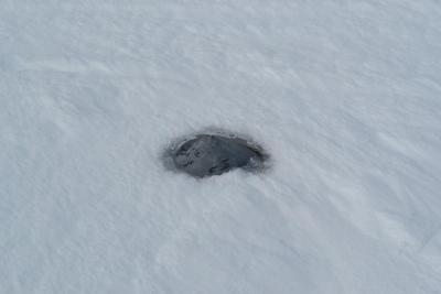 post-7299-0-35413900-1430727425_thumb.jp